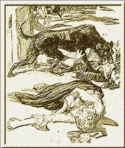 Illustration