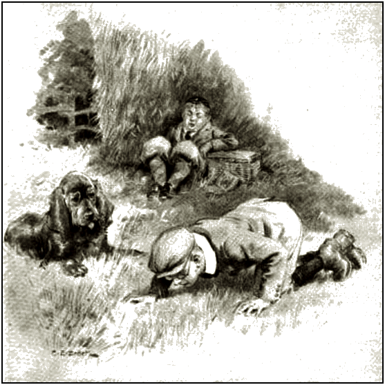 Illustration