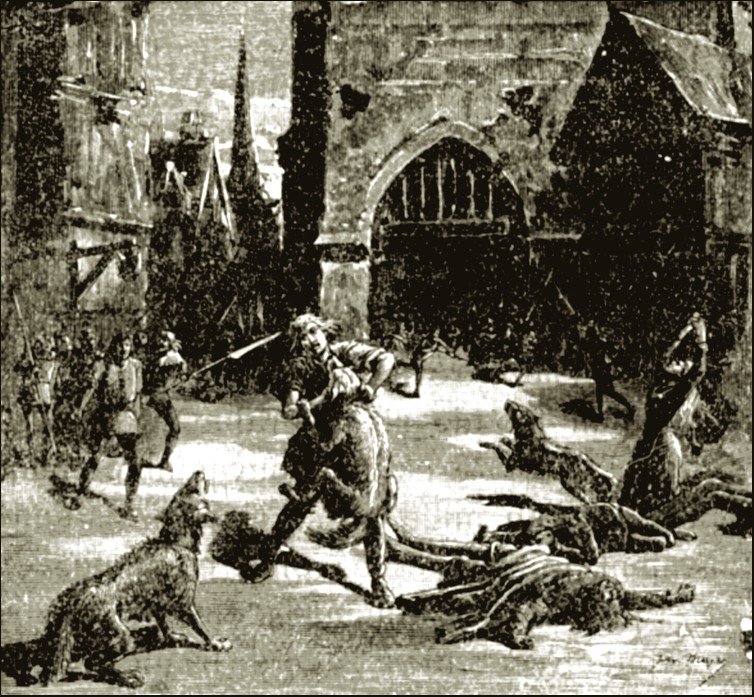 Illustration