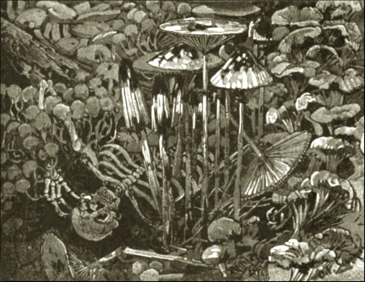 Illustration