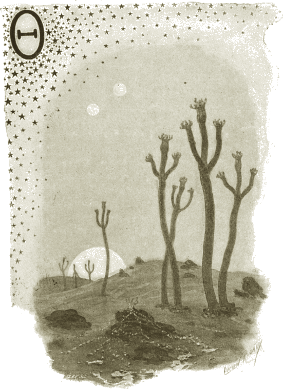 Illustration