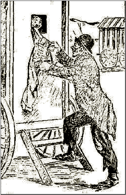 Illustration