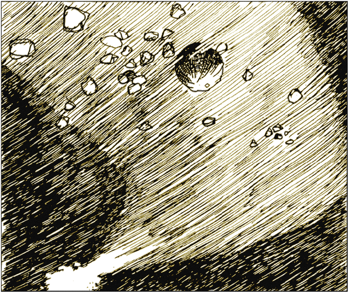 Illustration