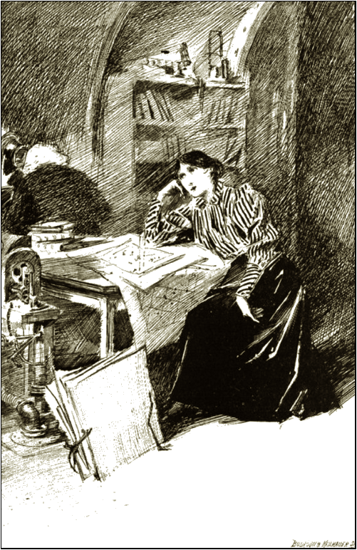Illustration