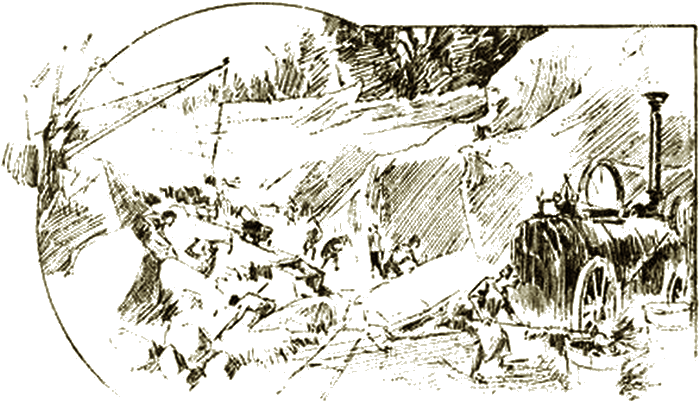 Illustration