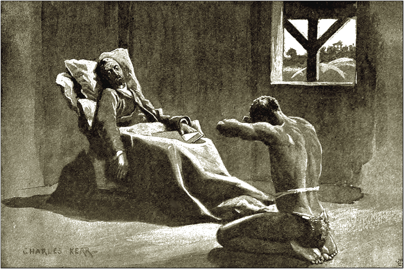 Illustration