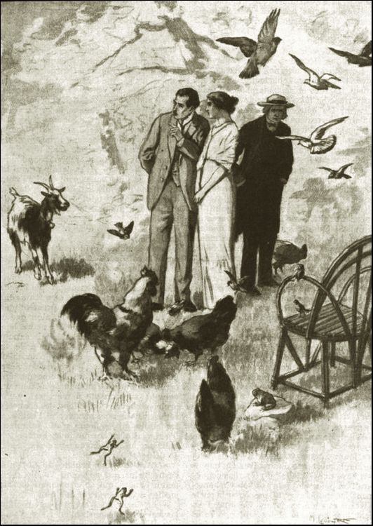 Illustration