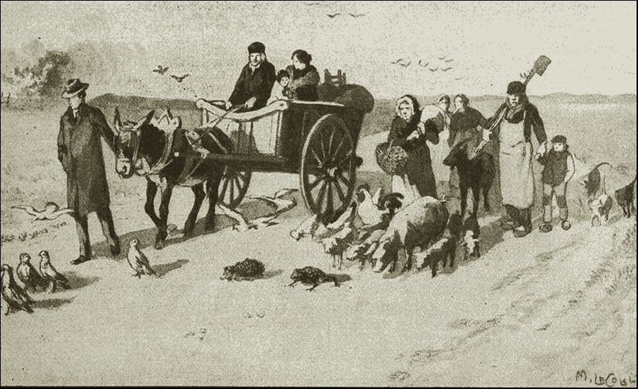 Illustration