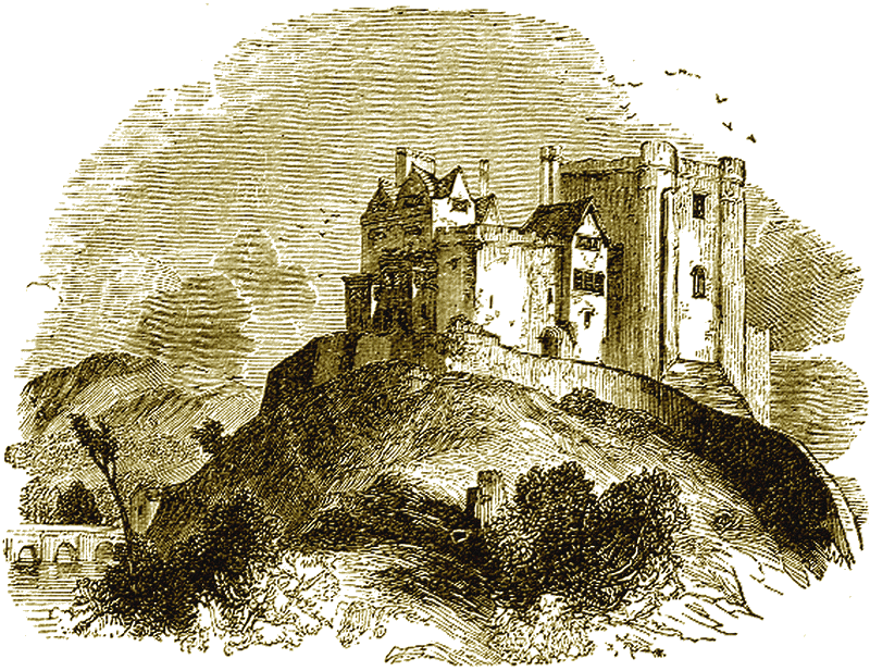 Illustration