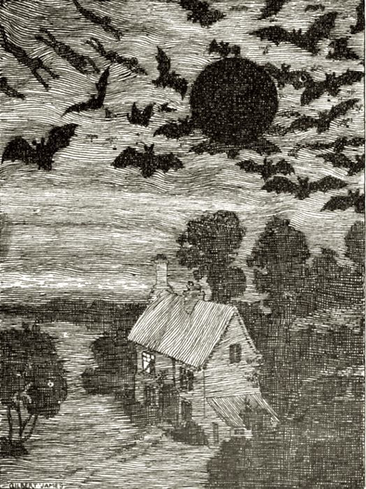 Illustration