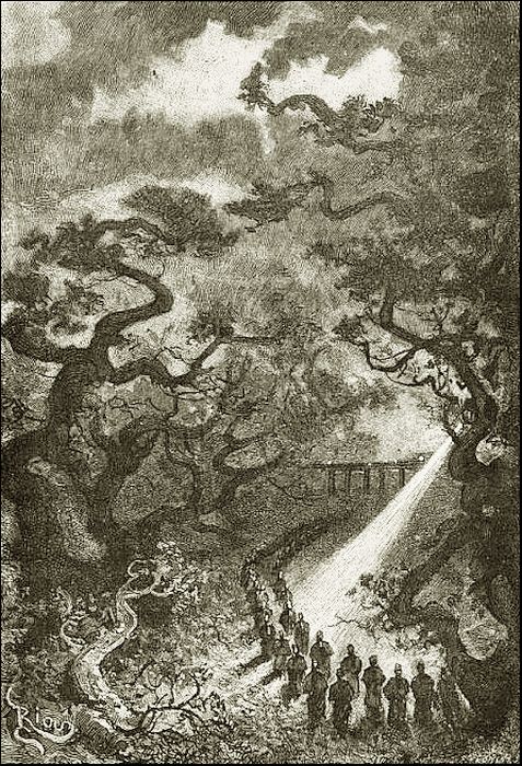 Illustration