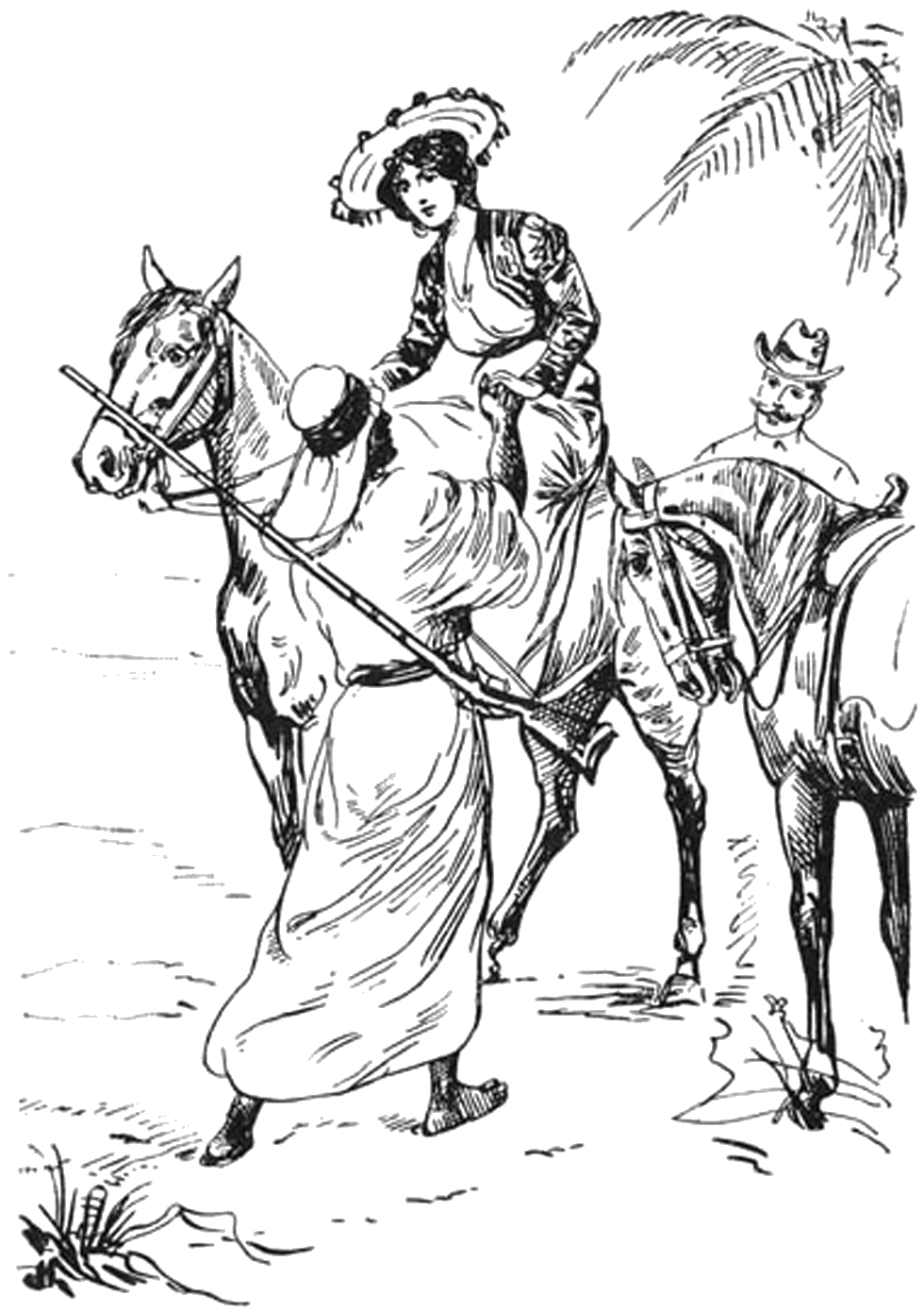 Illustration