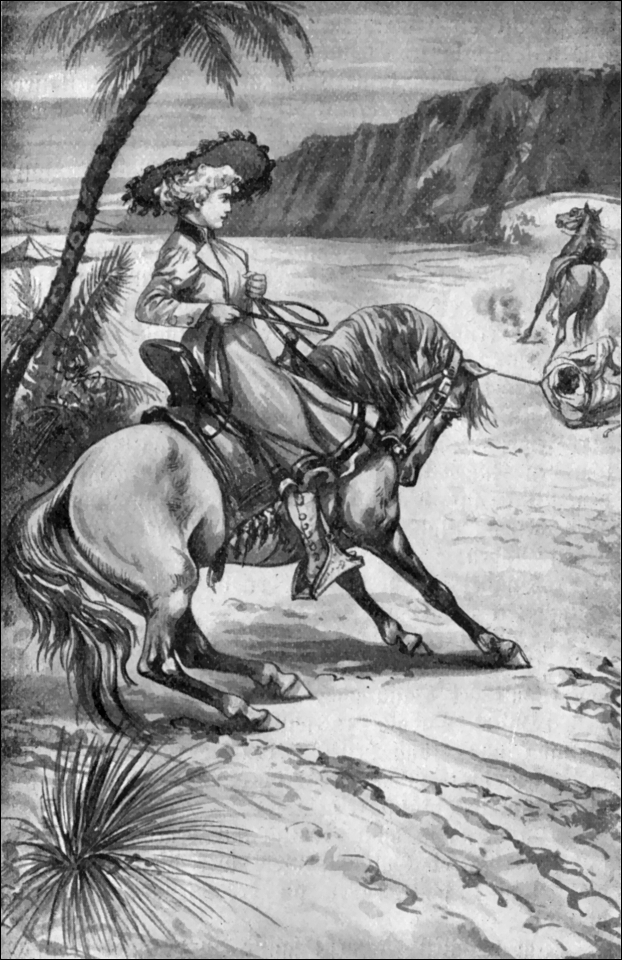 Illustration
