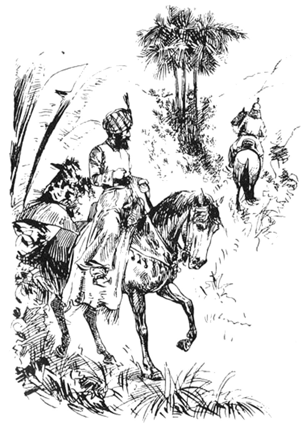 Illustration