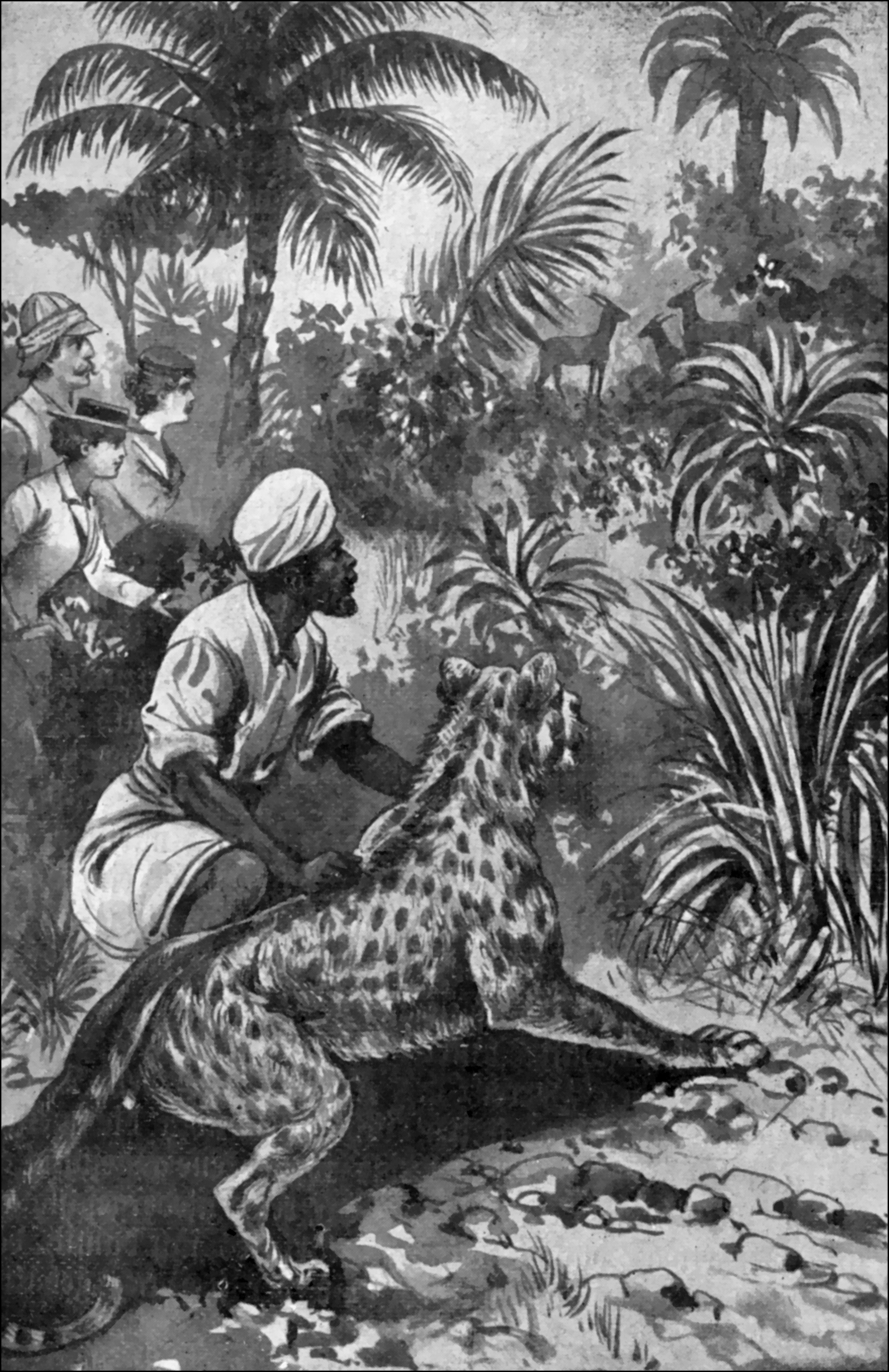 Illustration