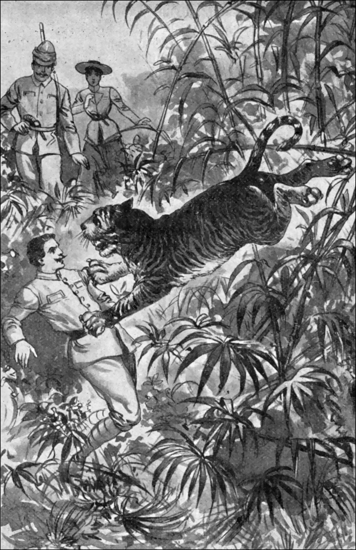 Illustration