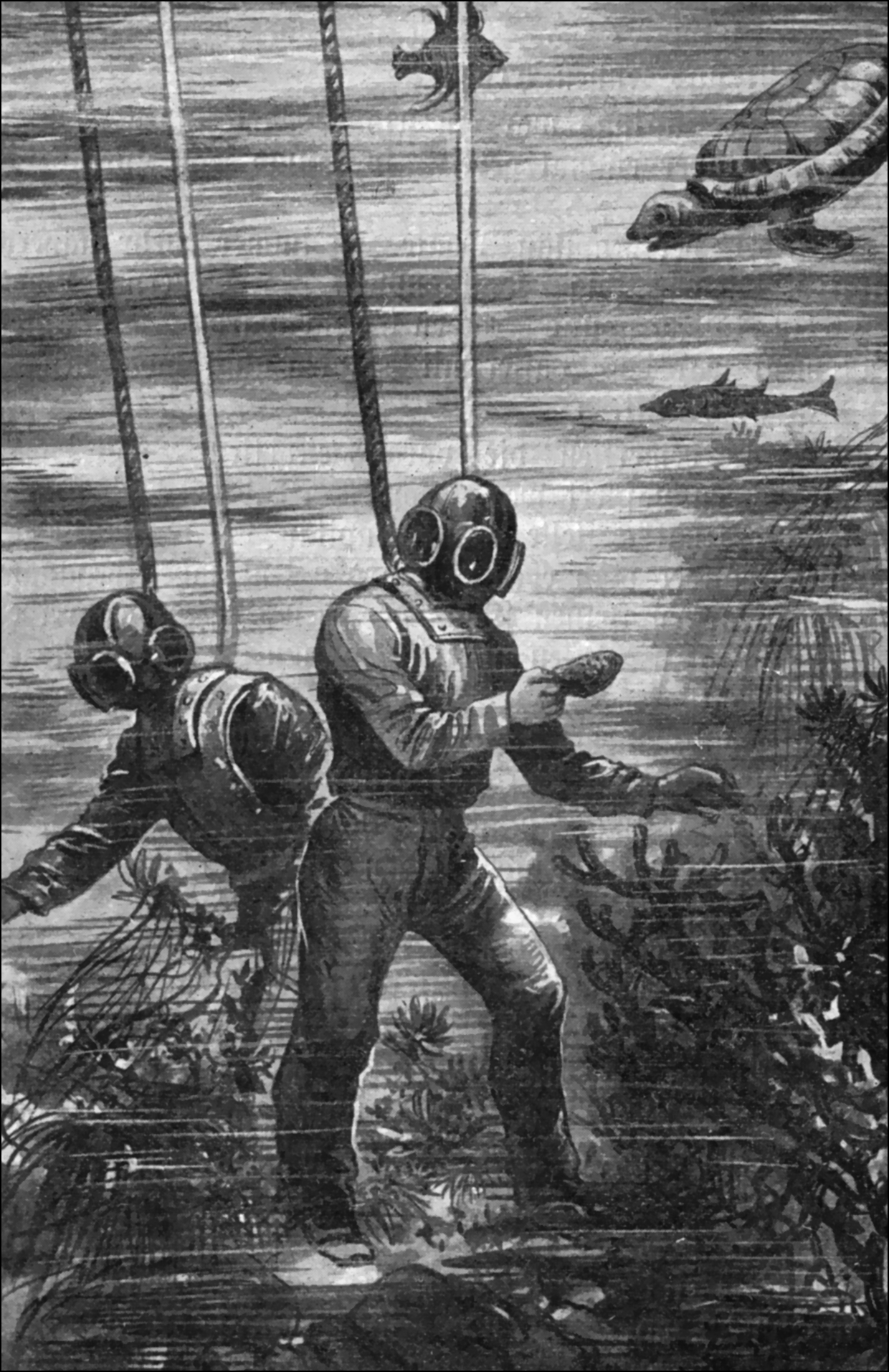 Illustration