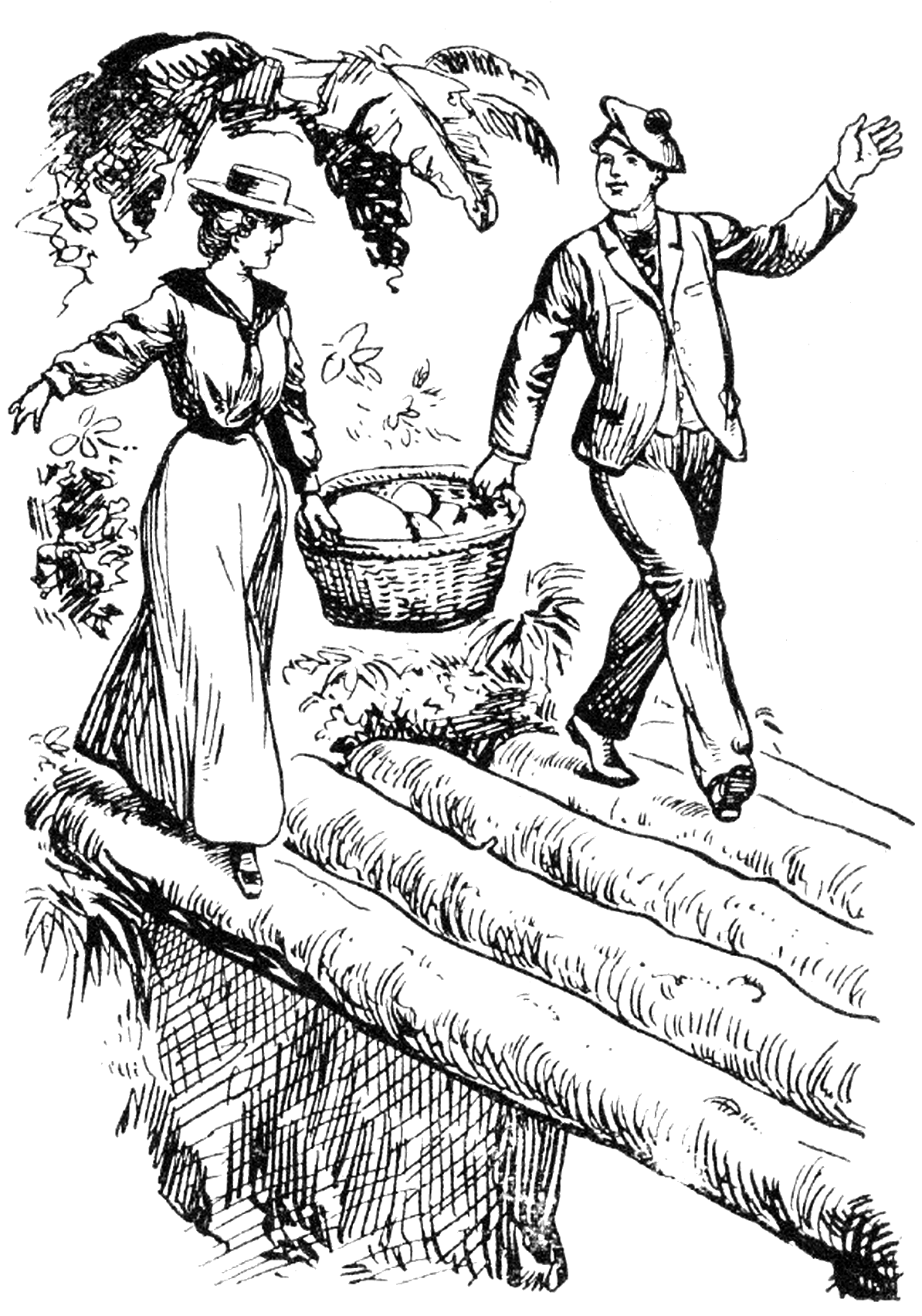 Illustration