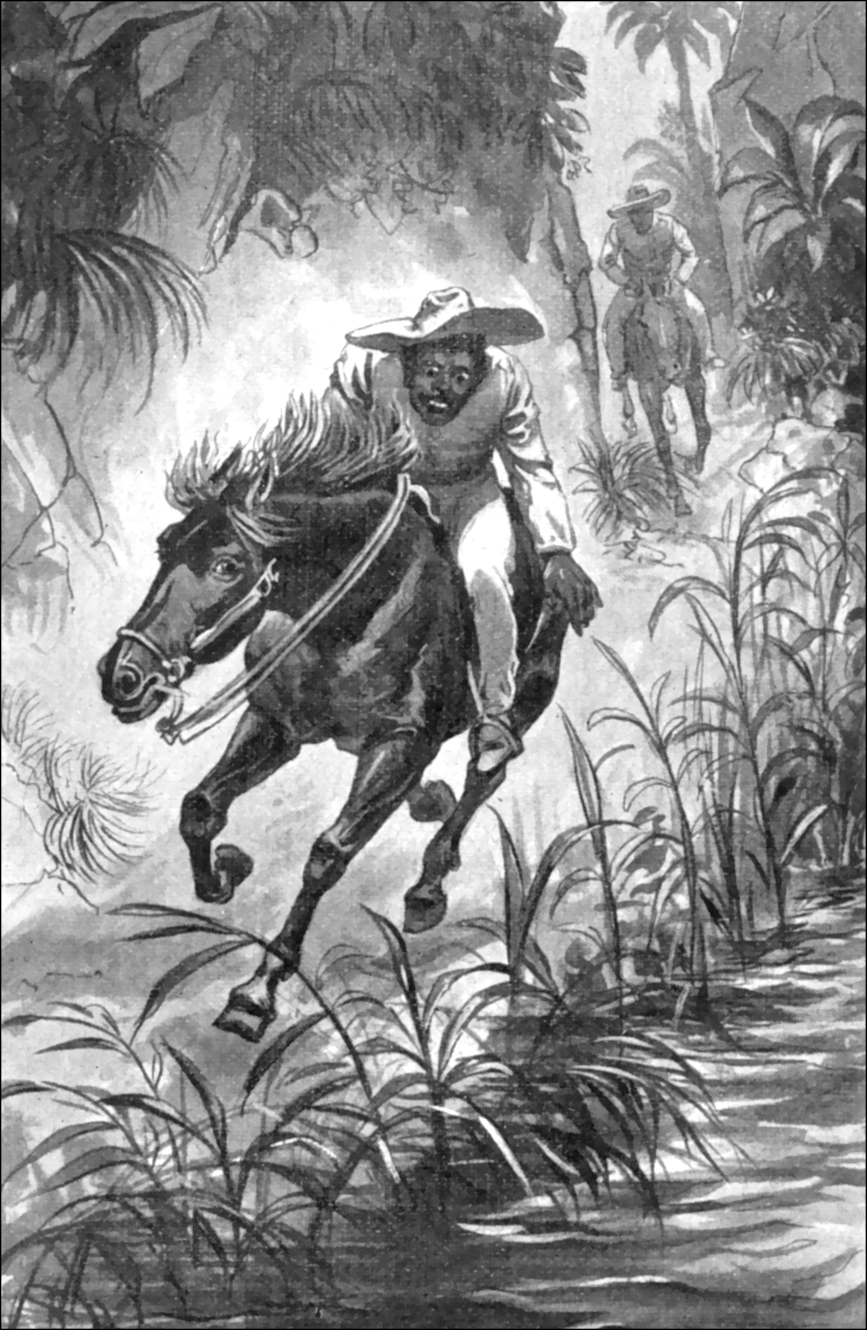 Illustration