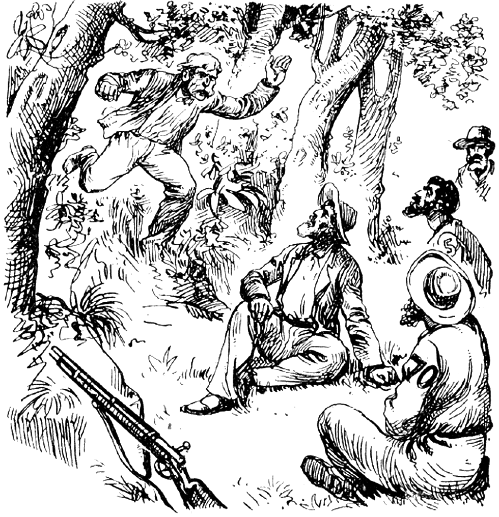 Illustration