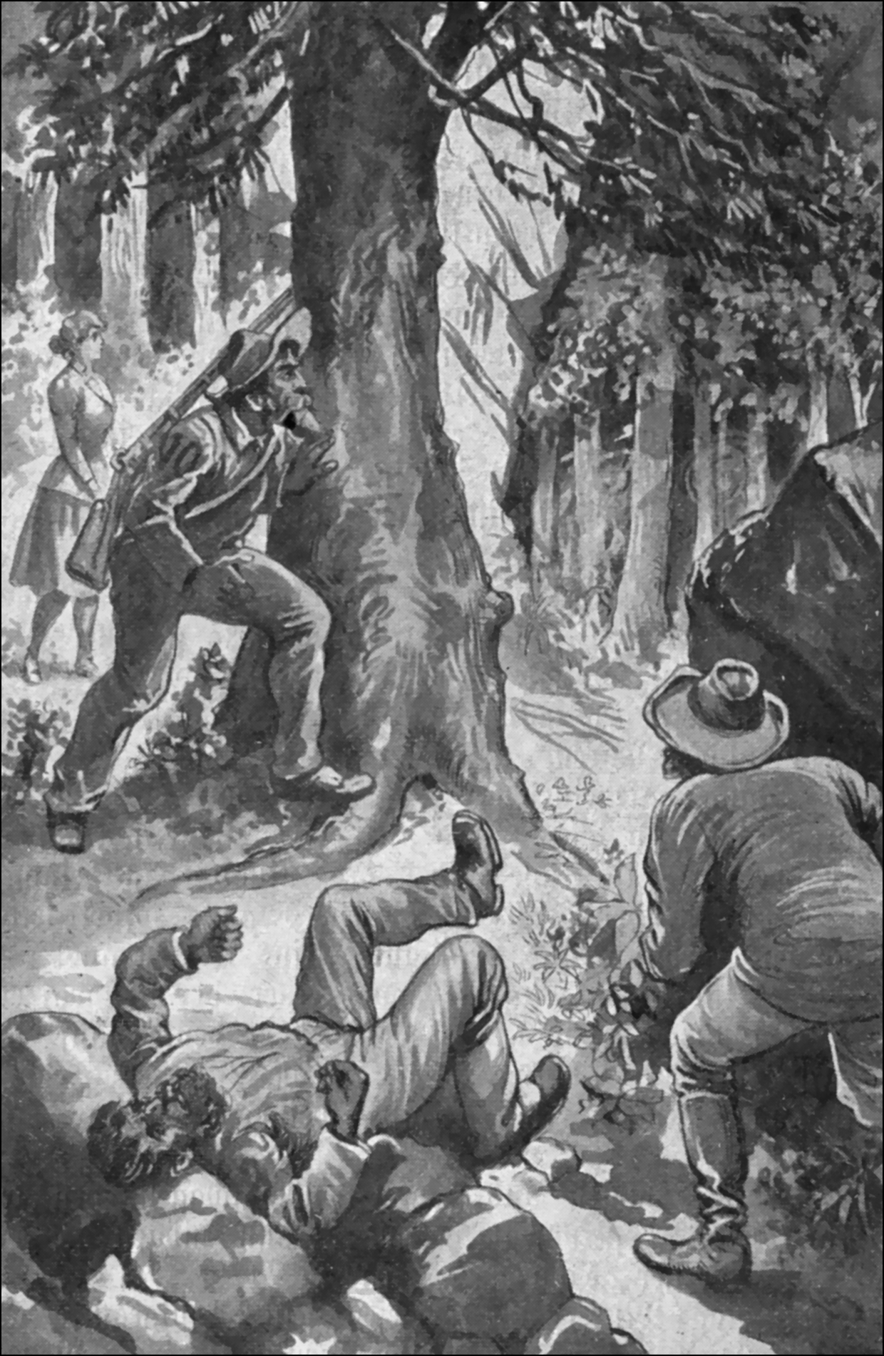 Illustration