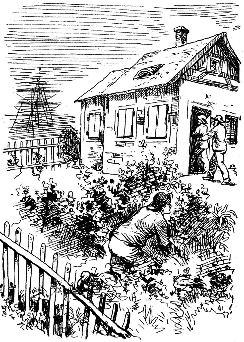 Illustration