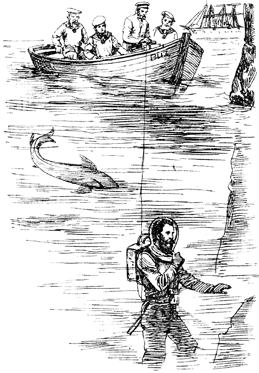 Illustration