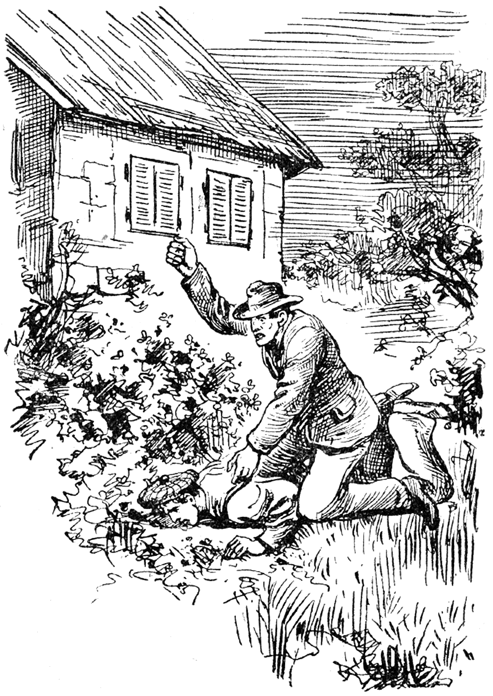 Illustration