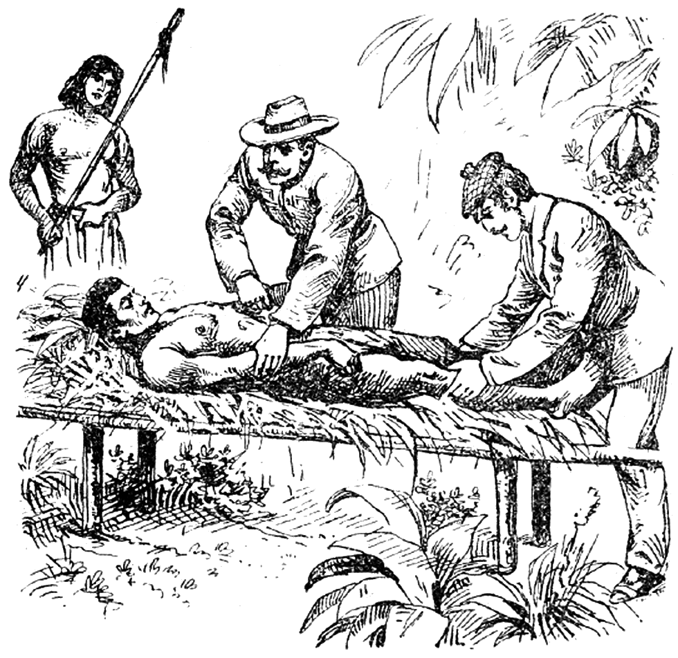 Illustration