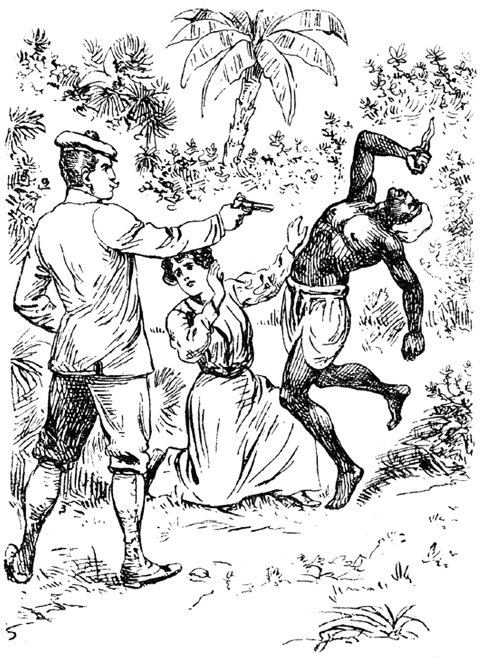 Illustration