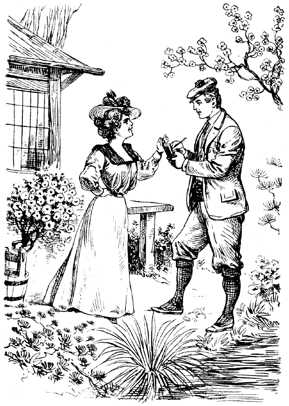 Illustration