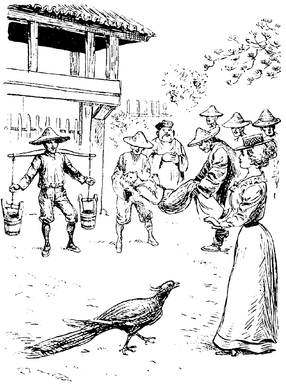 Illustration