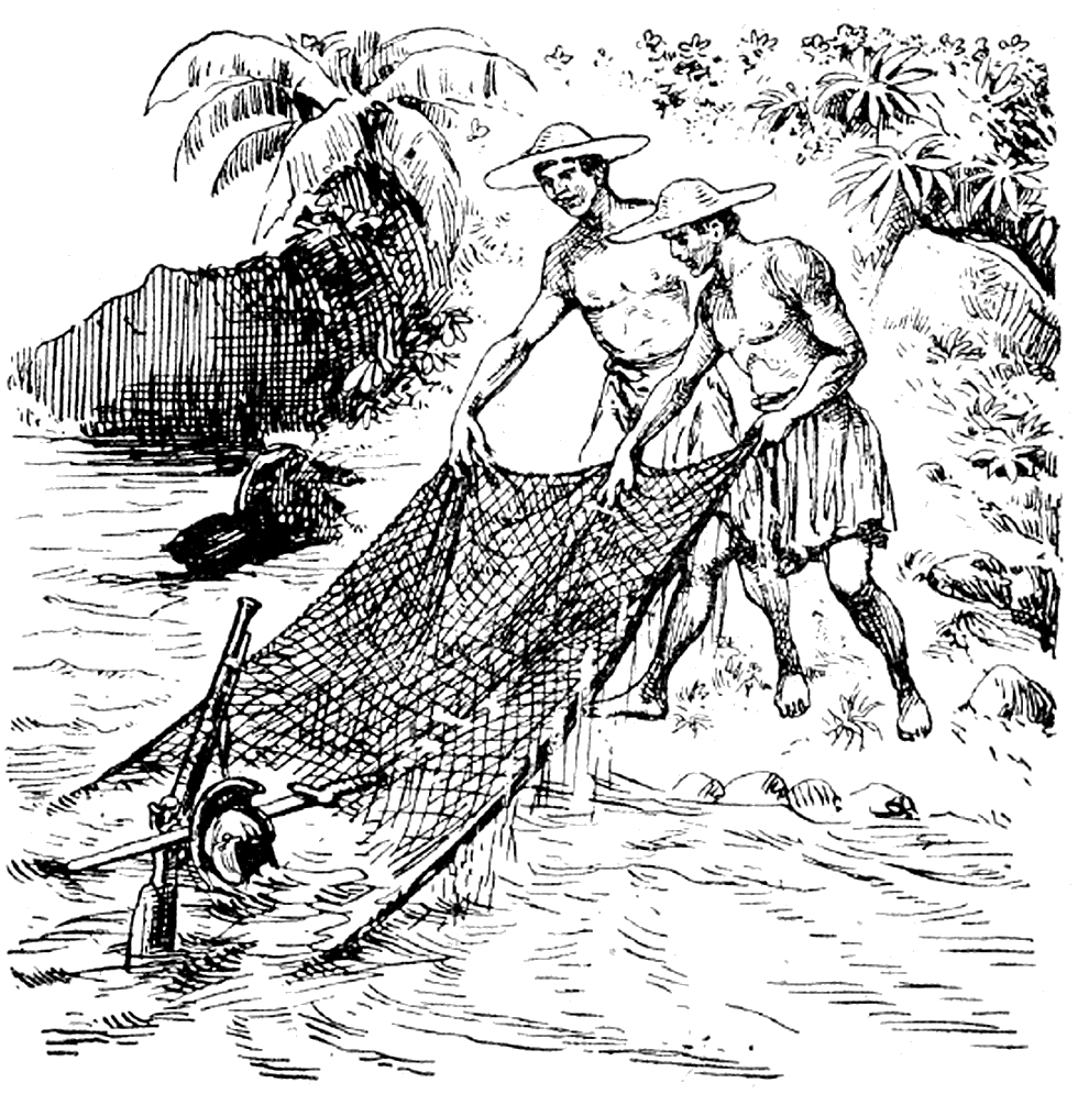 Illustration
