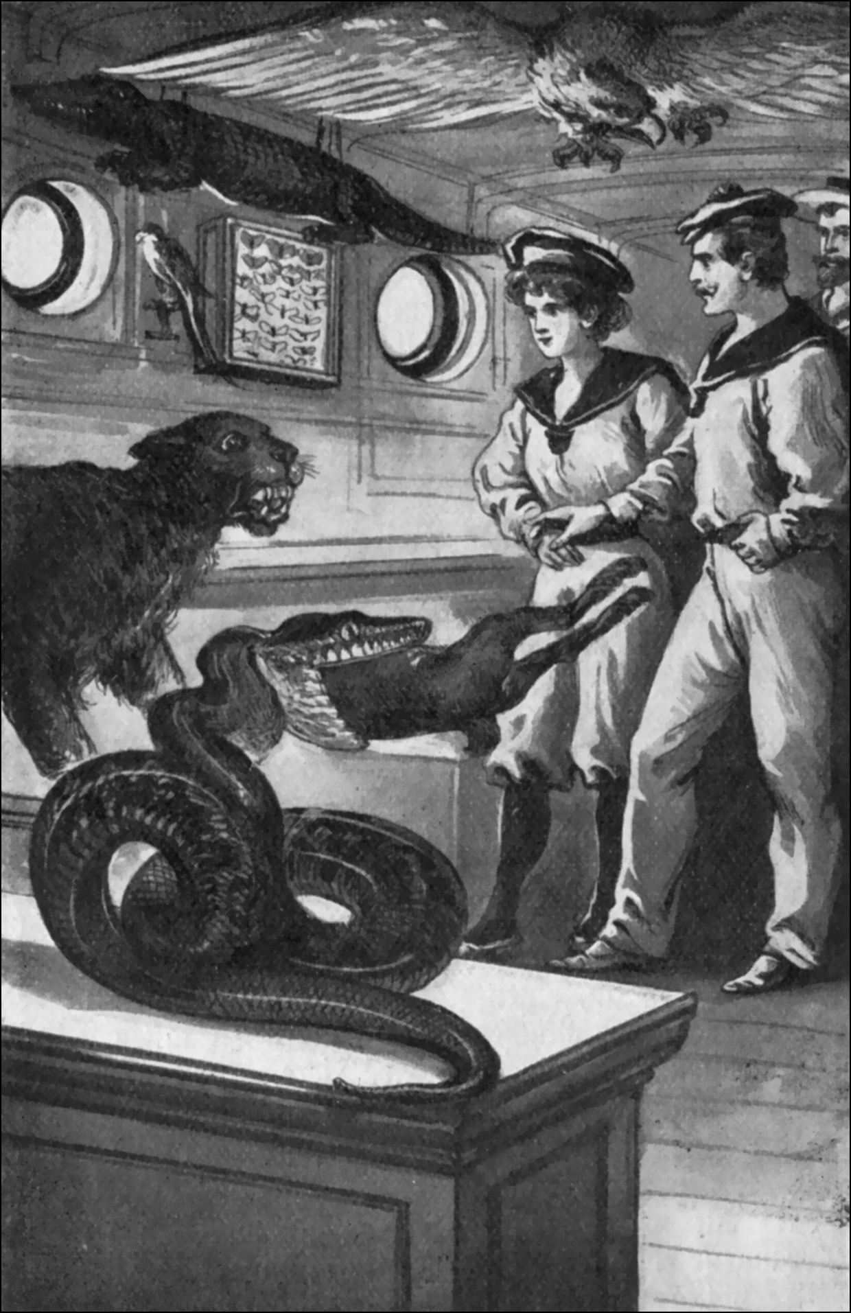Illustration