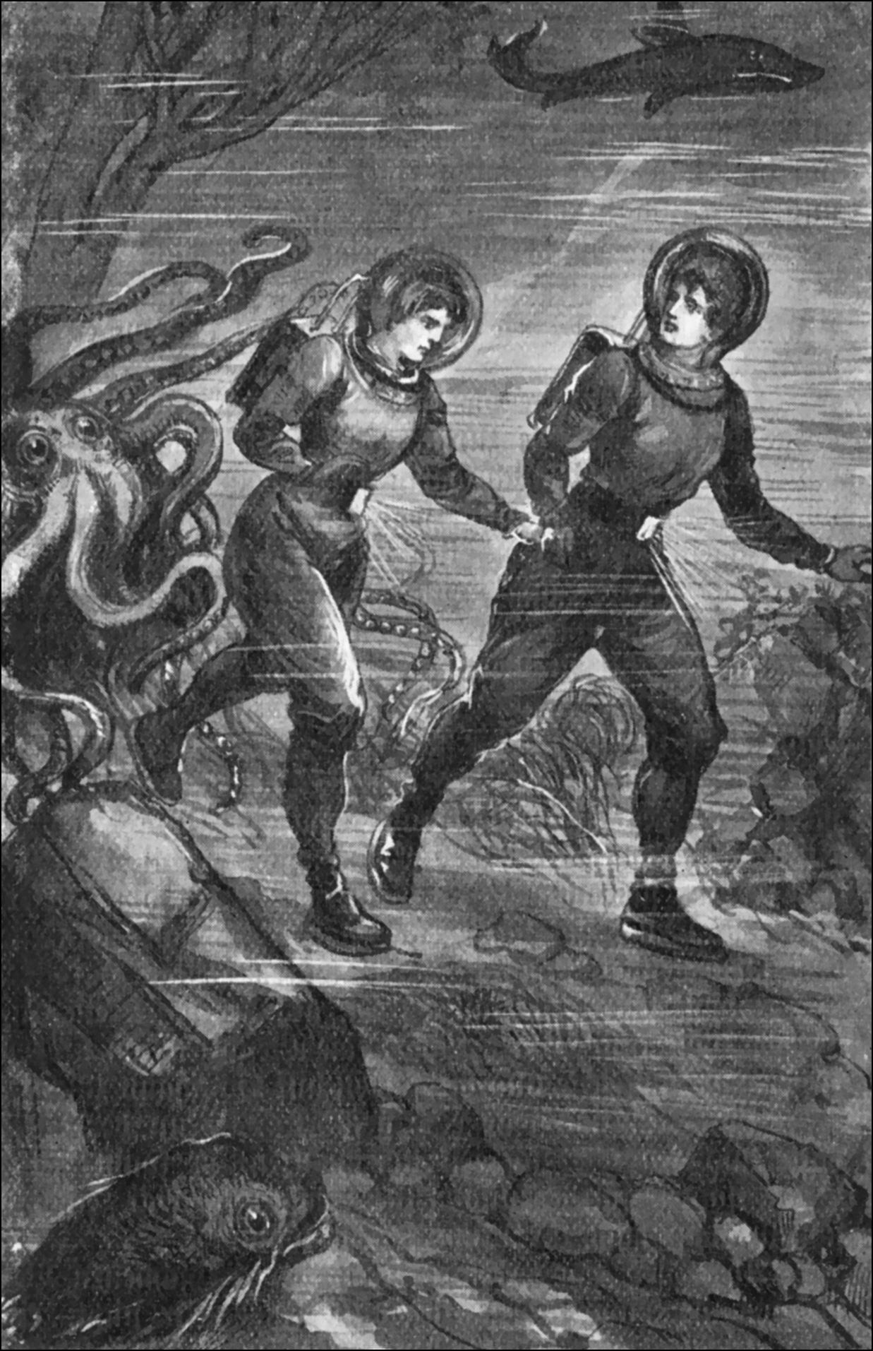 Illustration