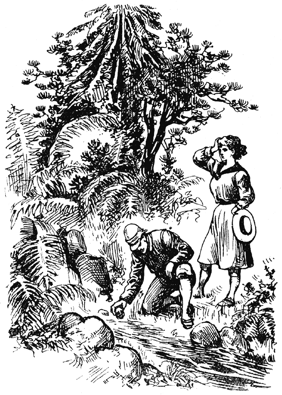 Illustration