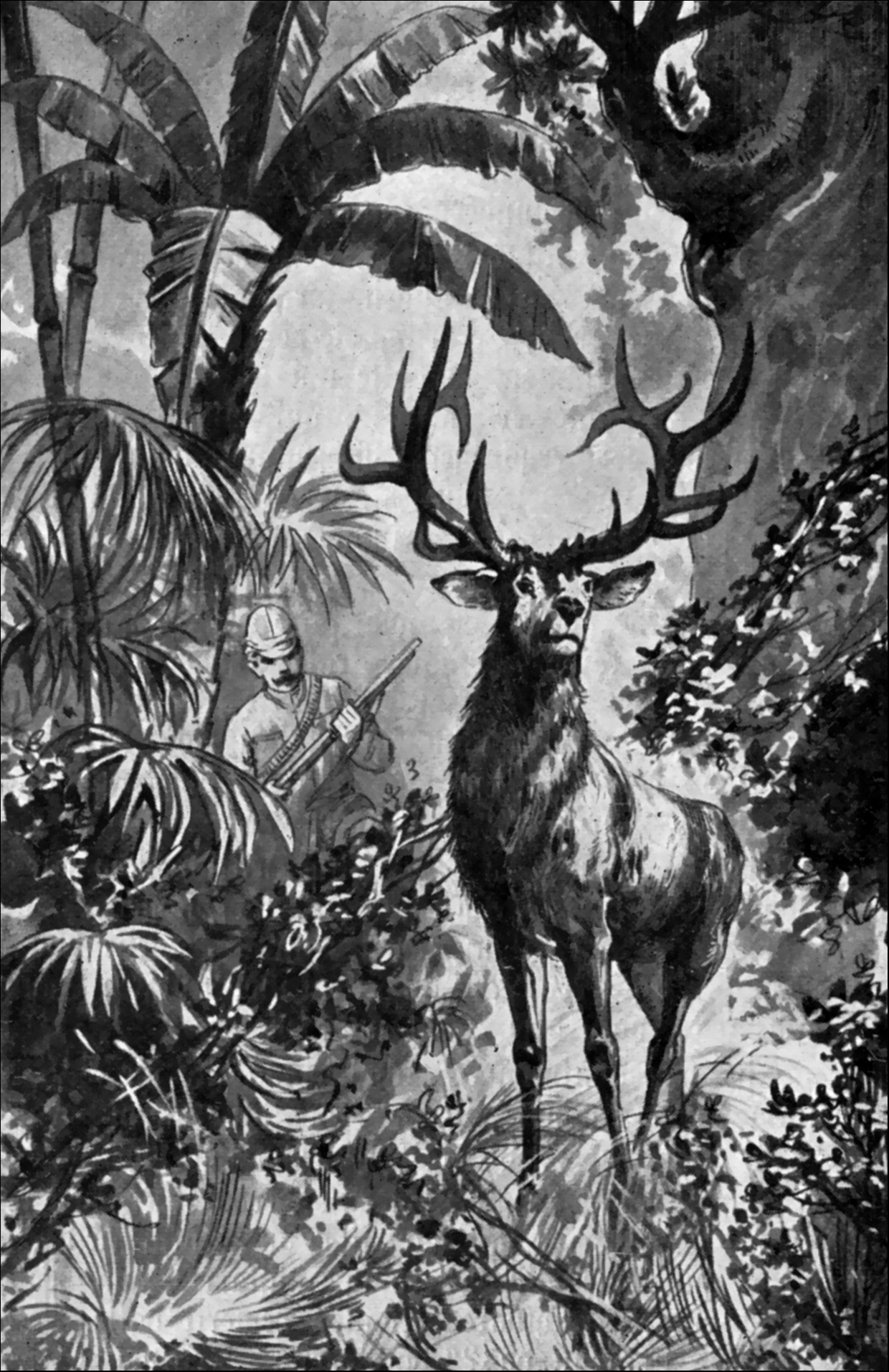 Illustration