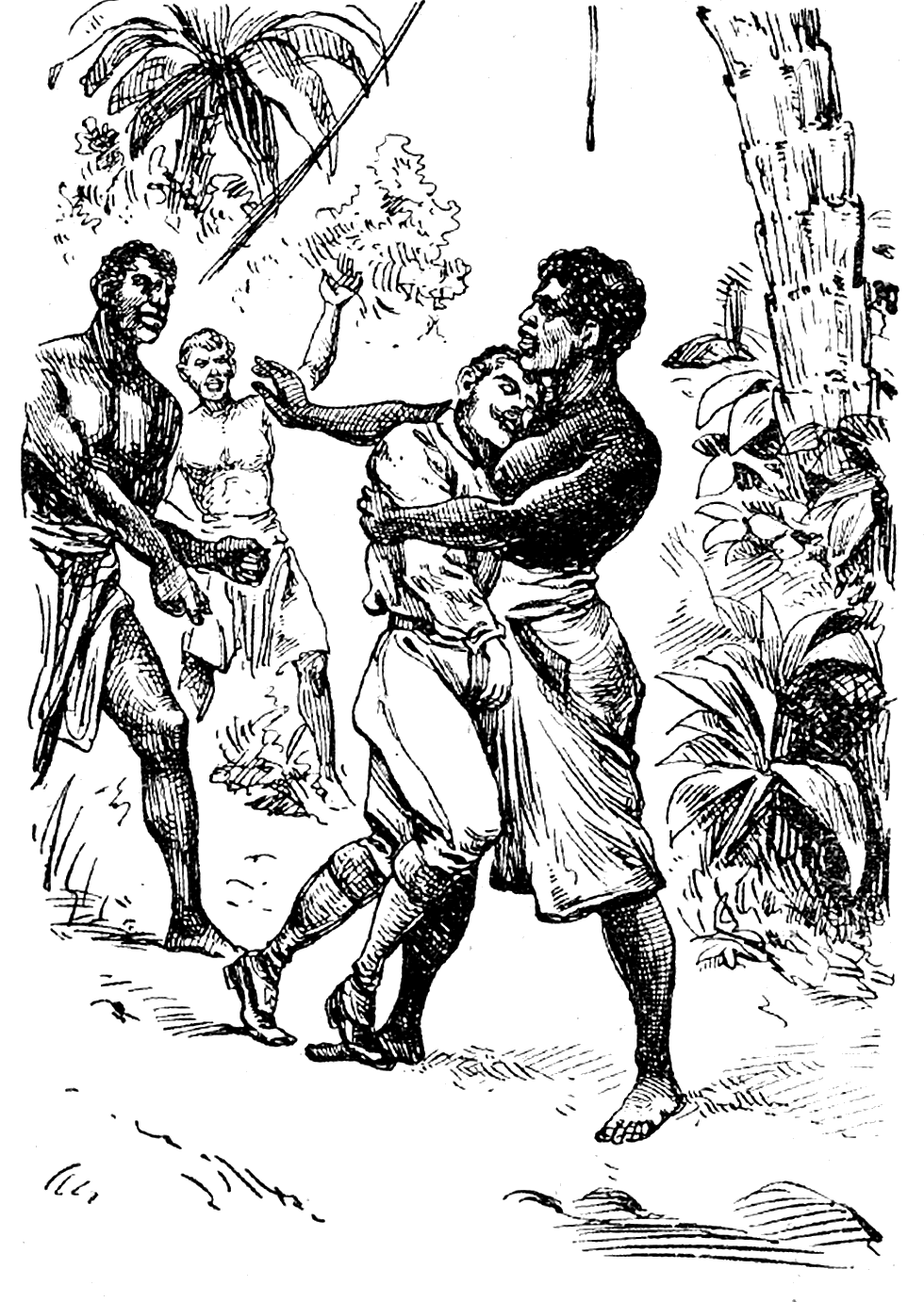 Illustration