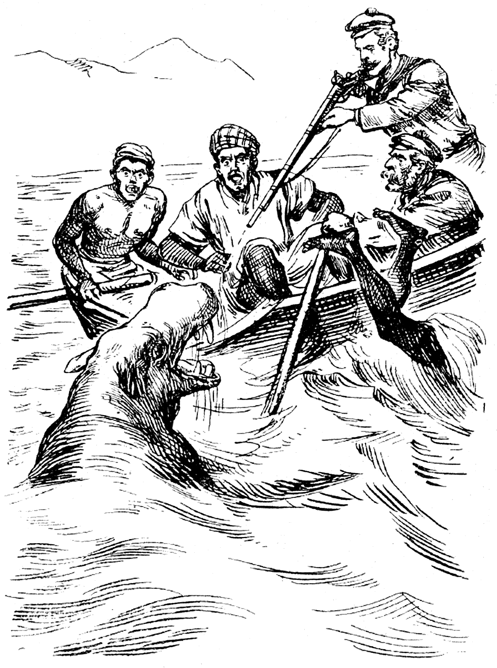 Illustration