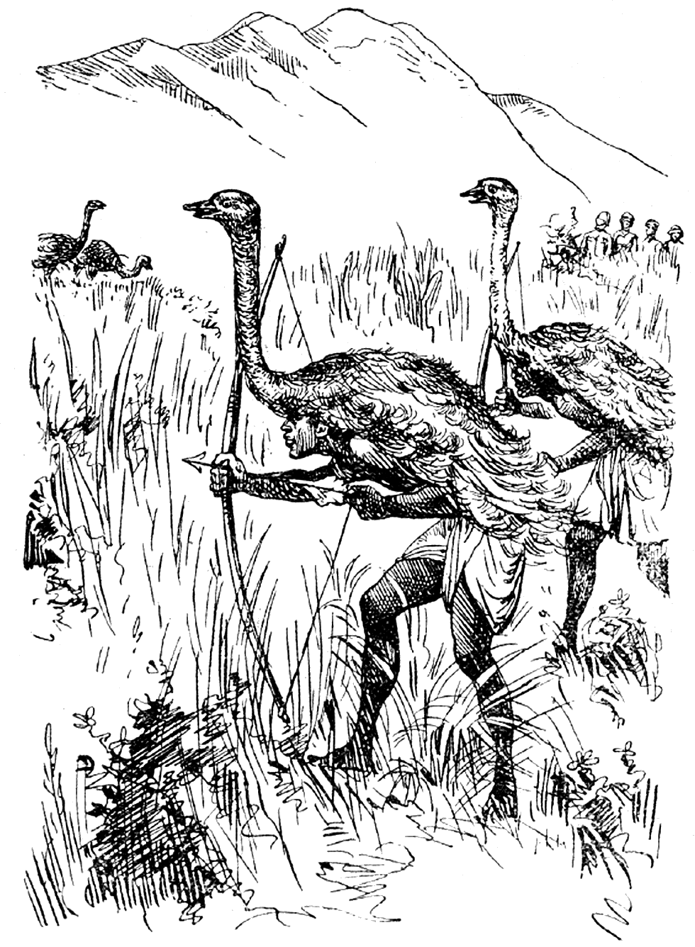 Illustration