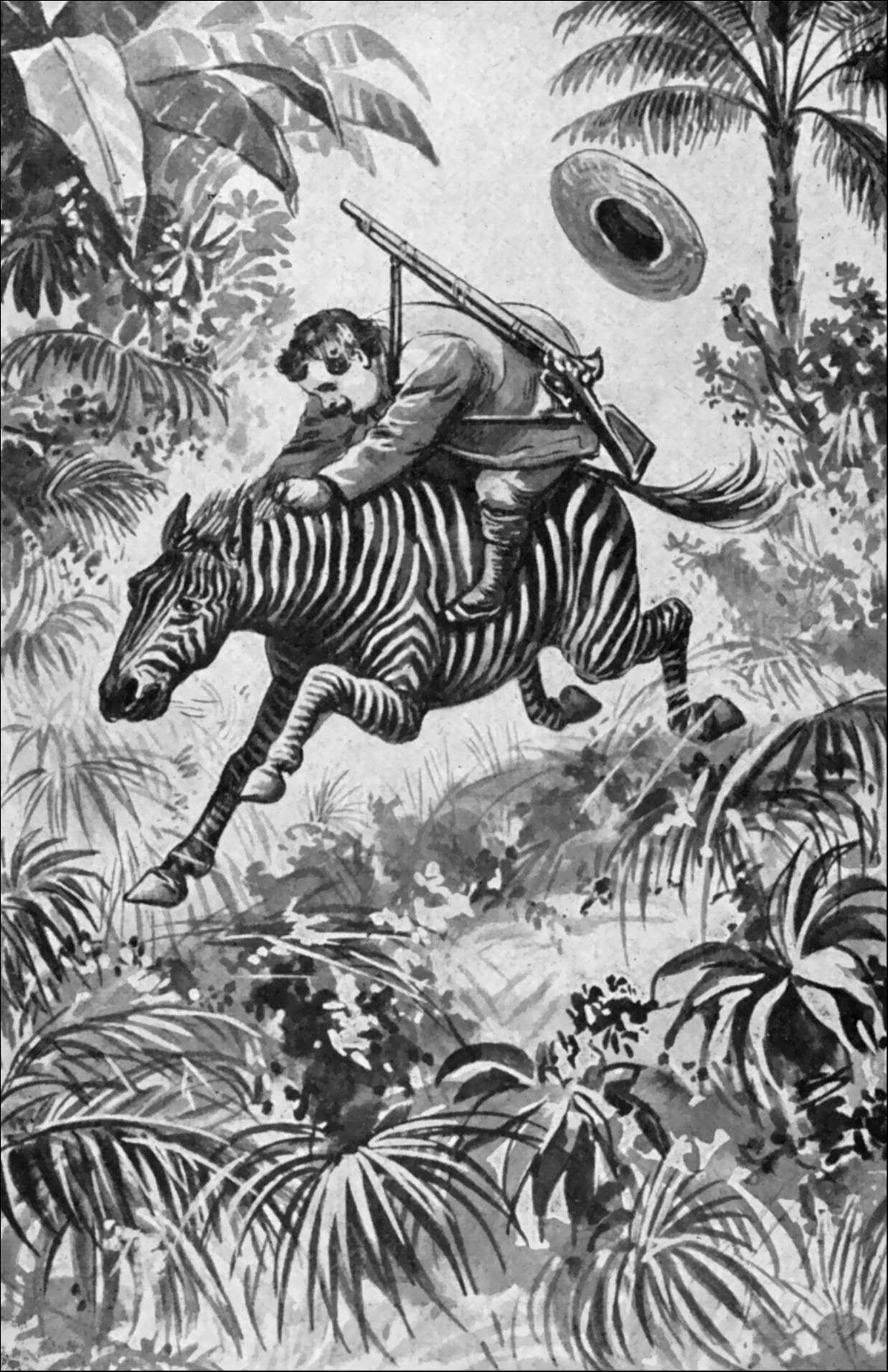 Illustration