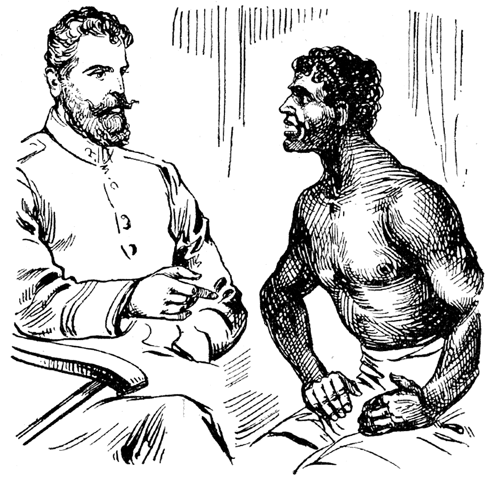Illustration