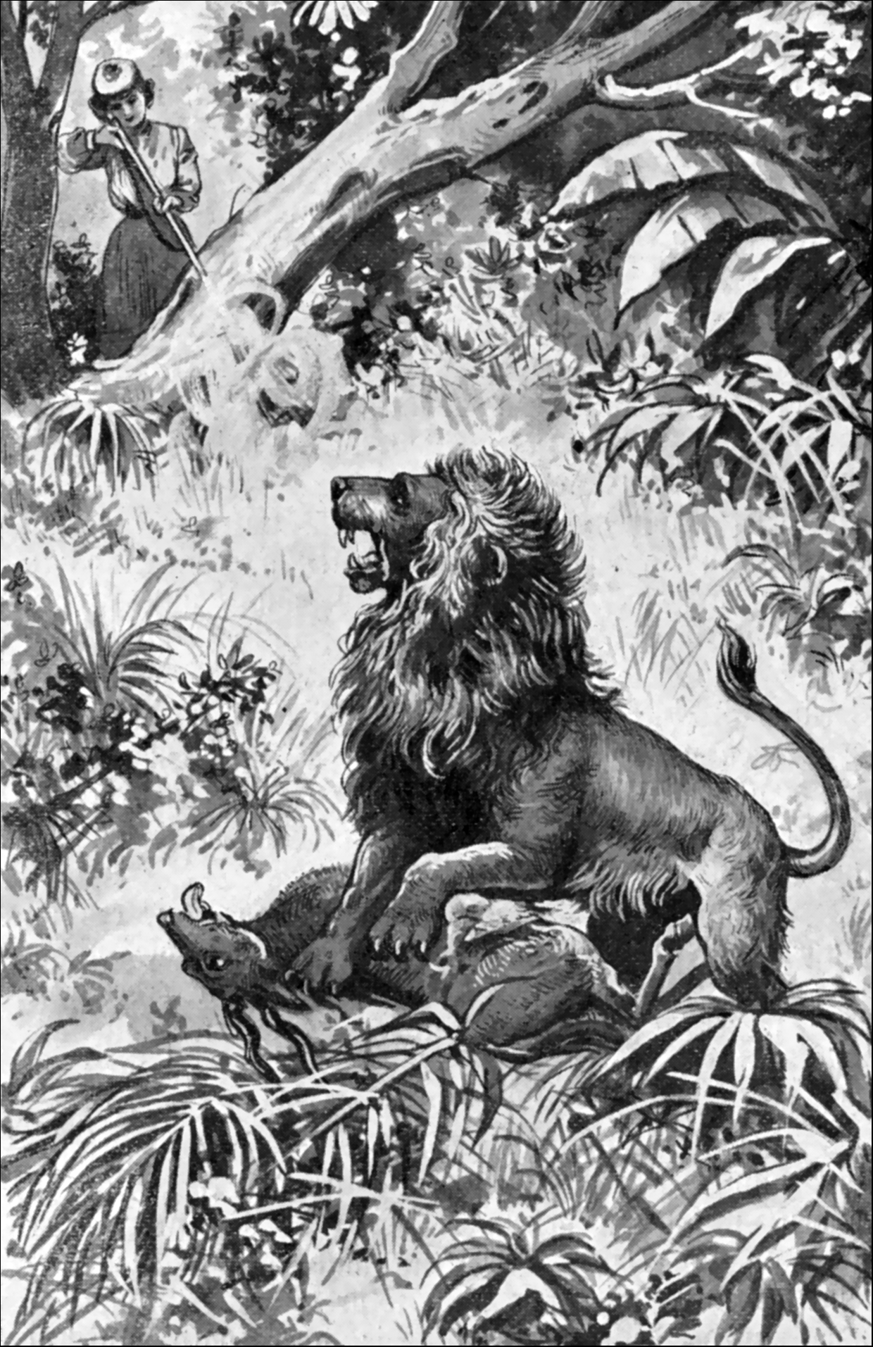 Illustration