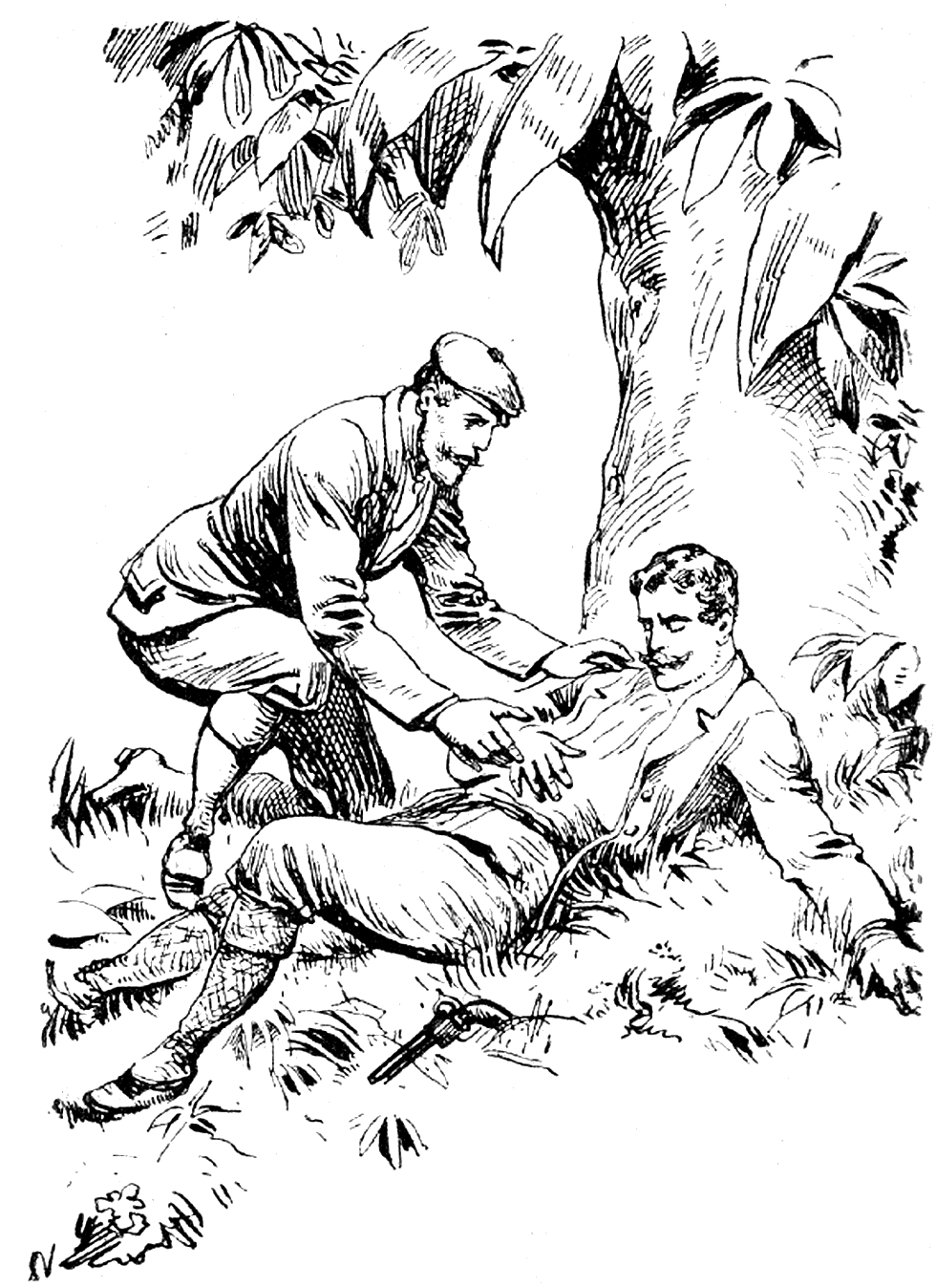 Illustration
