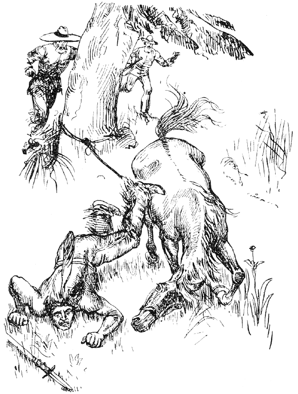 Illustration