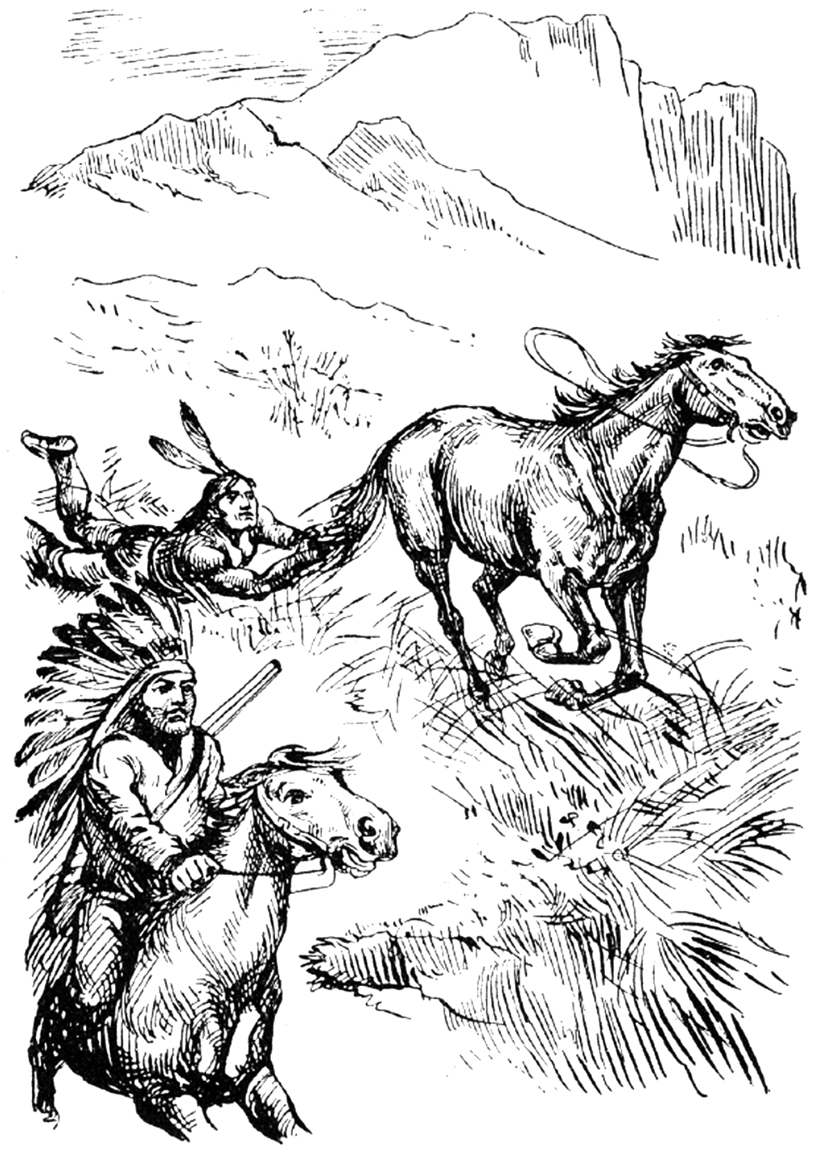 Illustration