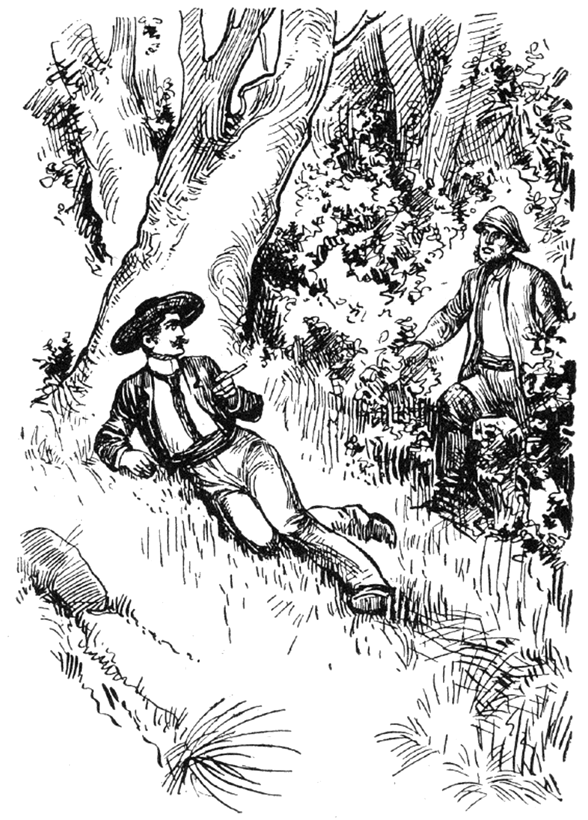 Illustration