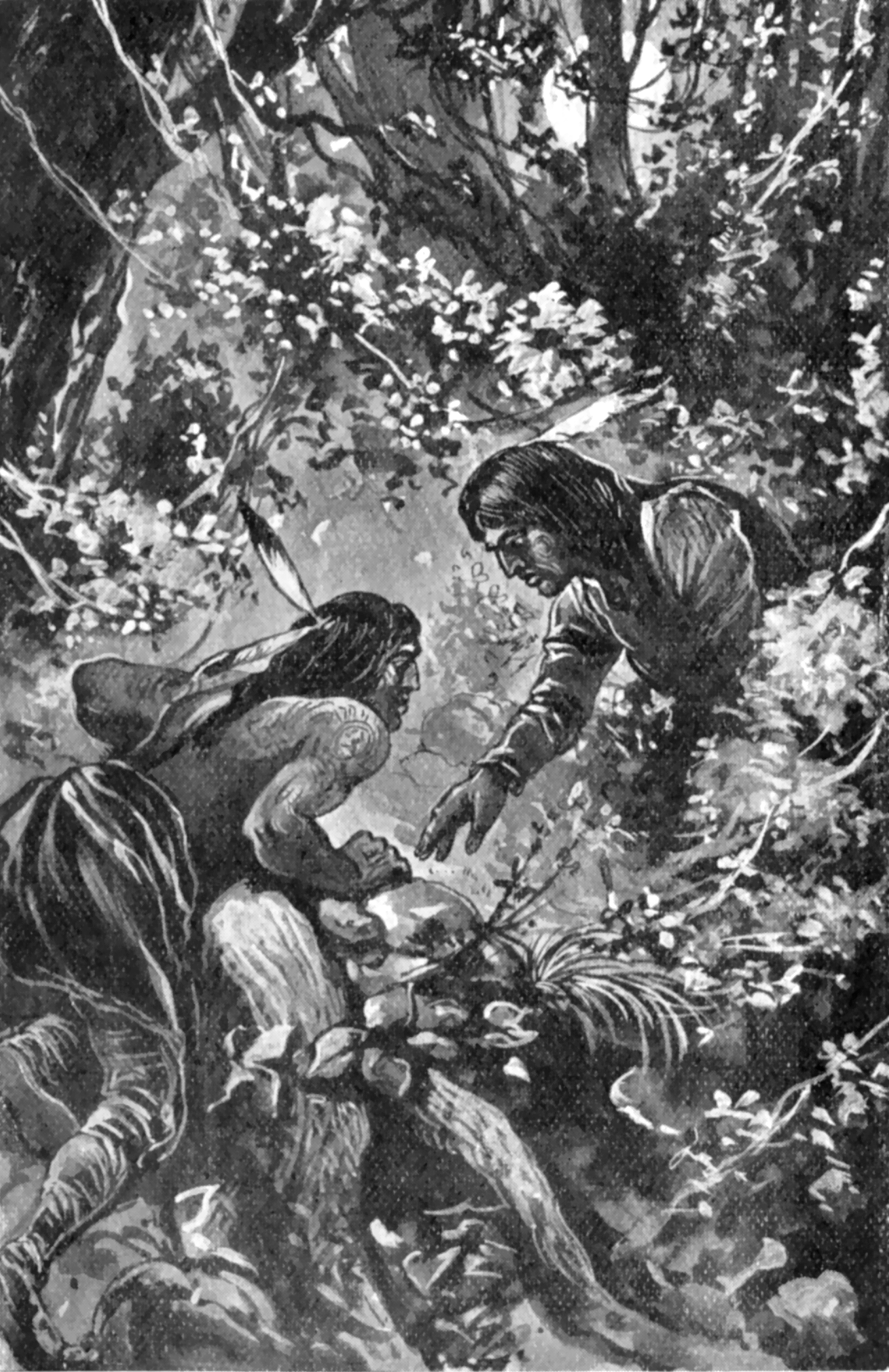 Illustration