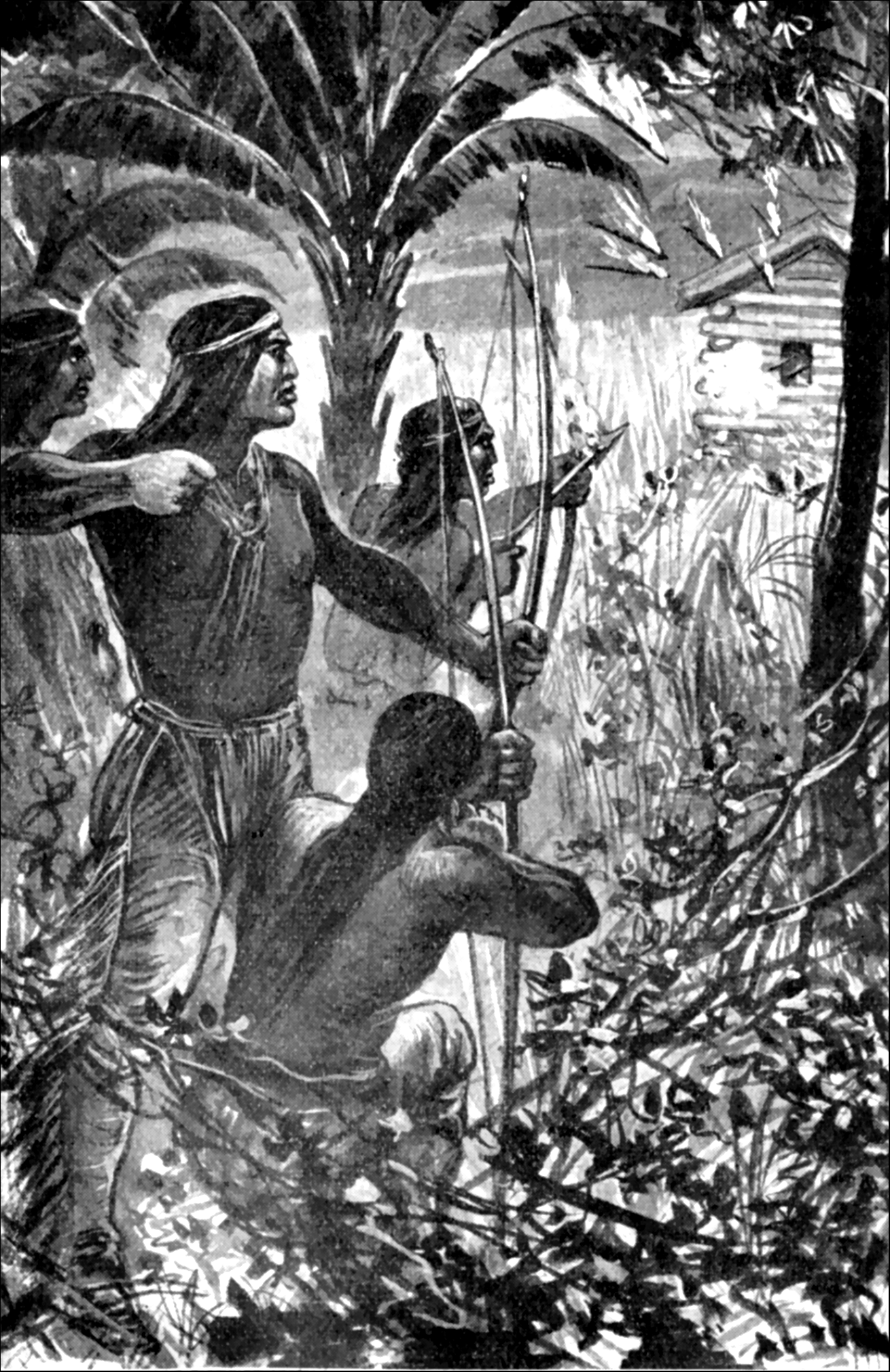 Illustration