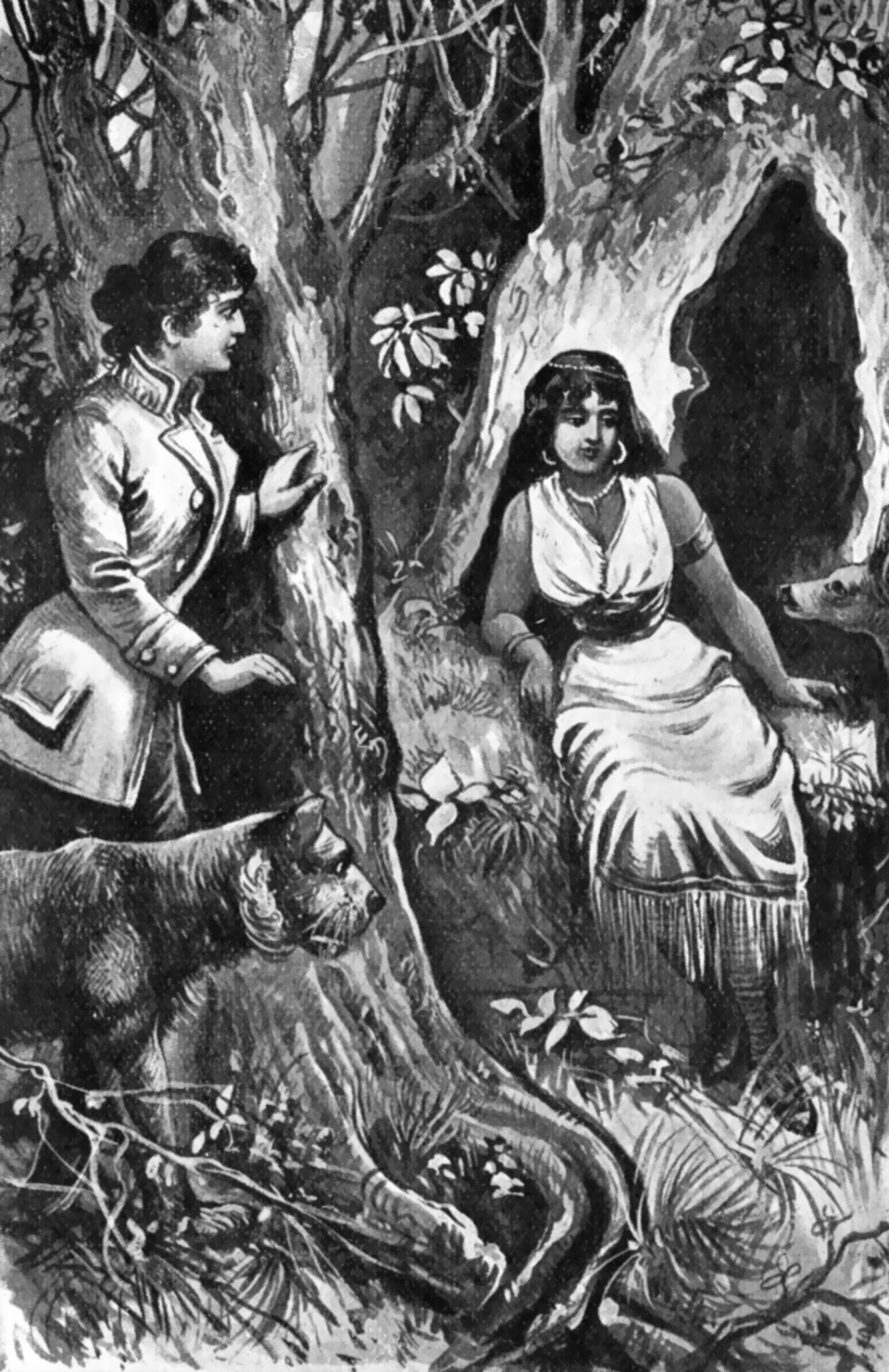 Illustration